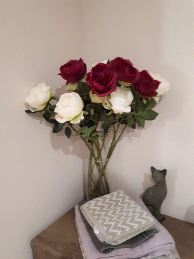 Cozy Apartment Near The Sea Tallinn Bagian luar foto